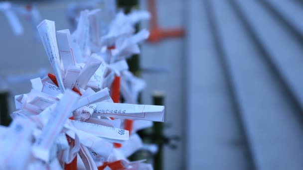 Oracles bij hanazono Shrine in Tokyo overdag — Stockvideo