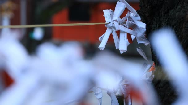 Oracles på Hanazono Shrine i Tokyo dagtid — Stockvideo