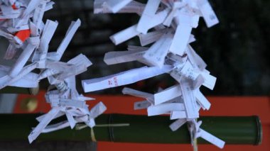 Tokyo gündüz Hanazono tapınağında Oracles