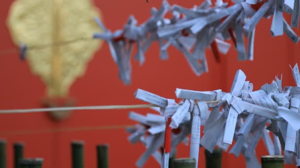 Оракулів в Ханазоно Shrine в Токіо денний — стокове відео