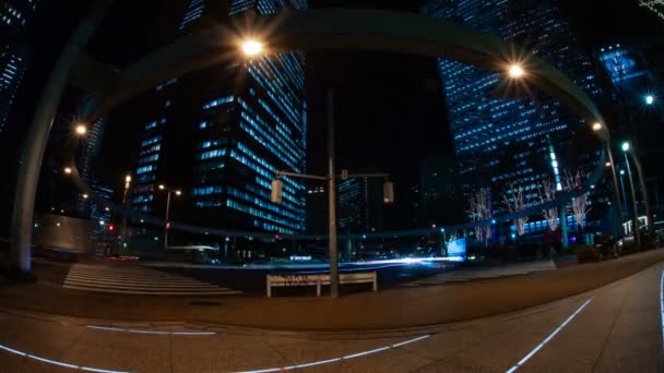 Nacht-Zeitraffer-Stadtstraße in der Geschäftsstadt Tokio — Stockvideo