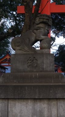 Tokyo'daki Hanazono tapınağında heykel koruyucu köpek