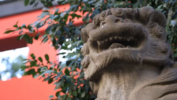 Estatua guardián del perro en el santuario de Hanazono en Tokio — Vídeos de Stock