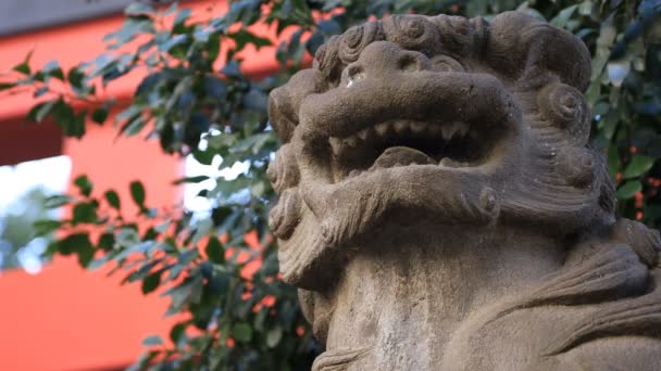 Estatua guardián del perro en el santuario de Hanazono en Tokio — Vídeos de Stock