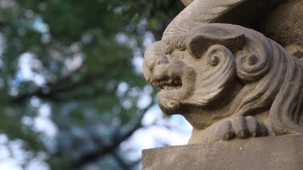 Estátua cão guardião no santuário Hanazono em Tóquio — Vídeo de Stock