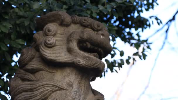 Estátua cão guardião no santuário Hanazono em Tóquio — Vídeo de Stock