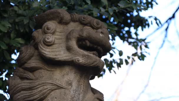 Estátua cão guardião no santuário Hanazono em Tóquio — Vídeo de Stock