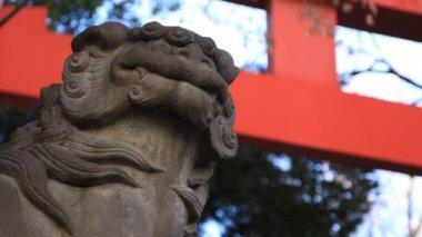 Tokyo'daki Hanazono tapınağında heykel koruyucu köpek