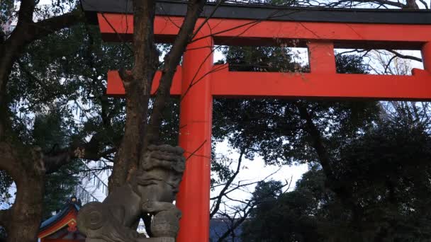 Estátua cão guardião no santuário Hanazono em Tóquio — Vídeo de Stock