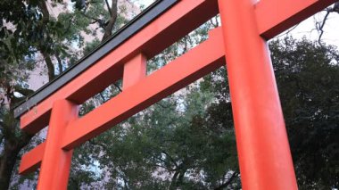 Tokyo'daki Hanazono tapınağında büyük dini kapı