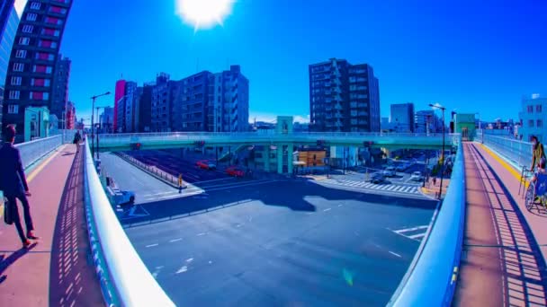 A timelapse of the city crossing at the downtown in Tokyo daytime tilt — Stock Video