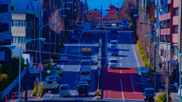 A TimeLapse a város utcában a belvárosban a tokiói nappali pásztázási — Stock videók