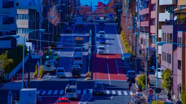 東京の繁華街の街路のタイムラプス — ストック動画