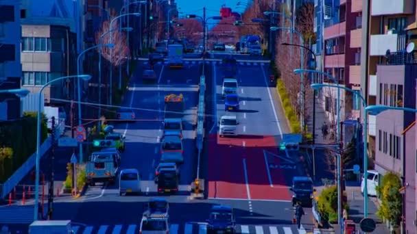 Tokyo gündüz zoom şehir merkezinde şehir sokak bir timelapse — Stok video