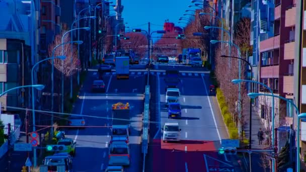 Tokyo gündüz zoom şehir merkezinde şehir sokak bir timelapse — Stok video