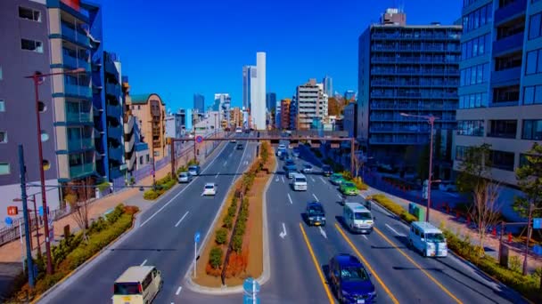 Tokyo gündüz geniş atış tilt şehir merkezinde şehir sokak bir timelapse — Stok video