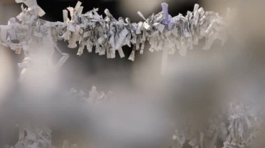 Tokyo'da gündüz Kanda tapınağında Oracles