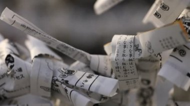 Tokyo'da gündüz Kanda tapınağında Oracles