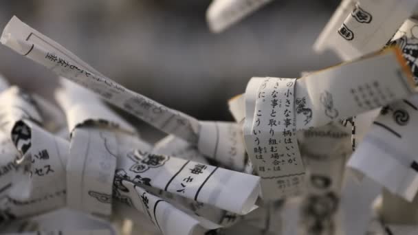 Oracles at Kanda shrine in Tokyo daytime — Stock Video