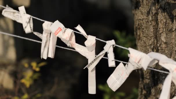 Oráculos en el santuario de Kanda en Tokio durante el día — Vídeo de stock