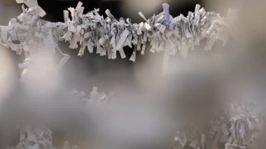 Tokyo'da gündüz Kanda tapınağında Oracles