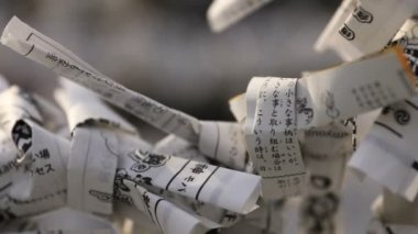 Tokyo'da gündüz Kanda tapınağında Oracles