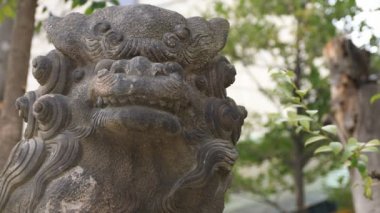 Tokyo'daki Kanda tapınağında heykel koruyucu köpek