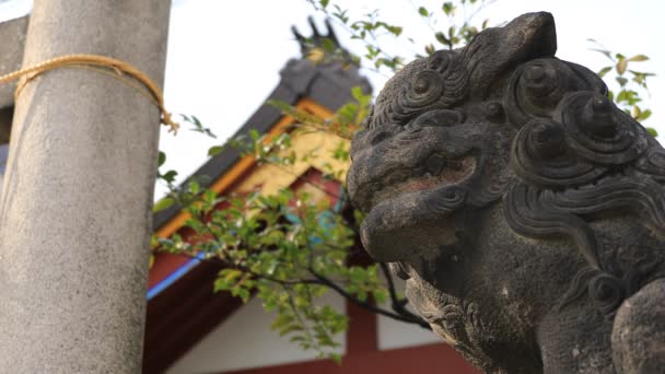 Statua cane custode al santuario di Kanda a Tokyo — Video Stock
