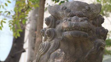 Tokyo'daki Kanda tapınağında heykel koruyucu köpek