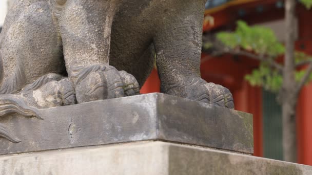Staty Guardian dog på Kanda Shrine i Tokyo — Stockvideo