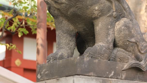 Estatua guardián perro en Kanda santuario en Tokio — Vídeos de Stock