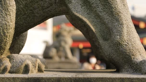 Socha strážného psa ve svatyni Kanda v Tokiu — Stock video