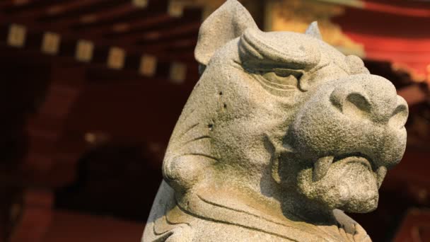 Estatua guardián perro en Kanda santuario en Tokio — Vídeos de Stock