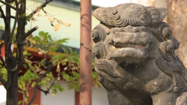 Estatua guardián perro en Kanda santuario en Tokio — Vídeo de stock