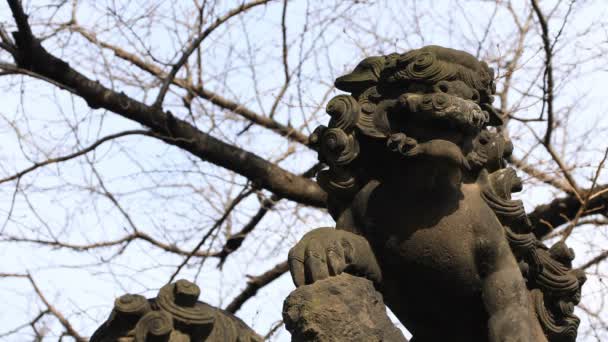 Staty Guardian dog på Kanda Shrine i Tokyo — Stockvideo