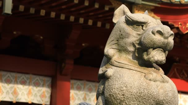 Statue guardian dog at Kanda shrine in Tokyo — Stock Video