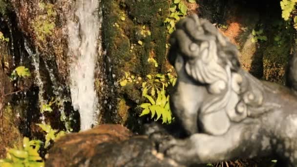 도쿄 칸다 신사에서 동상 수호견 — 비디오