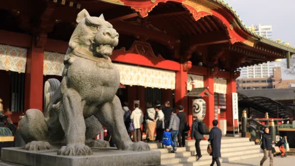 Estatua guardián perro en Kanda santuario en Tokio — Vídeos de Stock