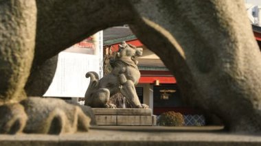 Tokyo'daki Kanda tapınağında heykel koruyucu köpek