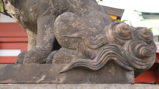 Estátua cão guardião no santuário de Kanda em Tóquio — Vídeo de Stock