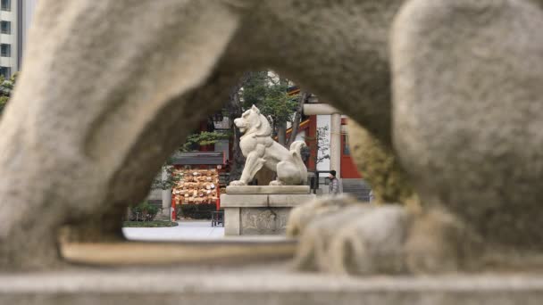 Statue guardian dog at Kanda shrine in Tokyo — Stock Video