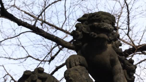 Estátua cão guardião no santuário de Kanda em Tóquio — Vídeo de Stock