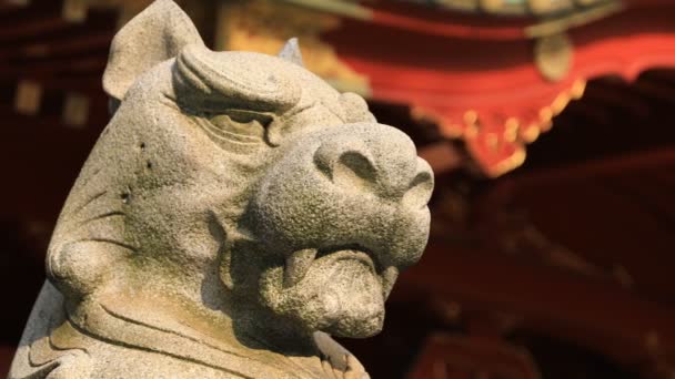 Statue guardian dog at Kanda shrine in Tokyo — Stock Video