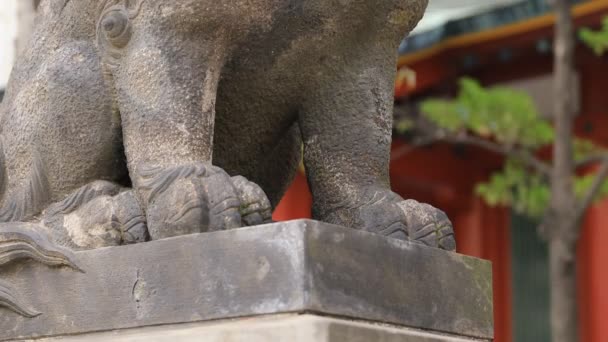 Estátua cão guardião no santuário de Kanda em Tóquio — Vídeo de Stock