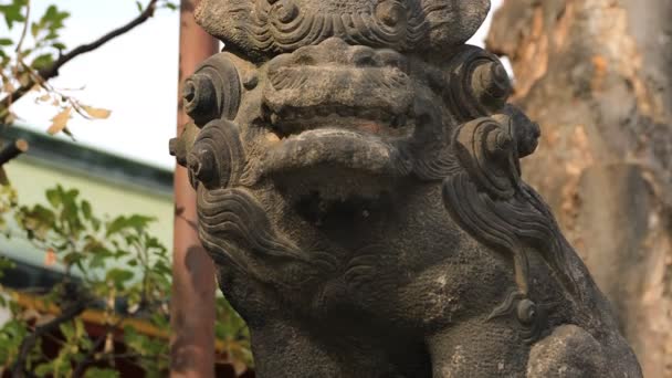 Tokyo'daki Kanda tapınağında heykel koruyucu köpek — Stok video