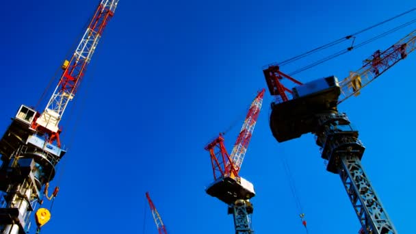 Tokyo geniş atış mavi gökyüzü arkasında hareketli vinçler bir zaman atlamalı — Stok video
