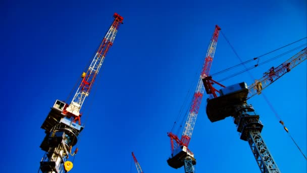 A time lapse of moving cranes behind the blue sky in Tokyo wide shot — Stock Video