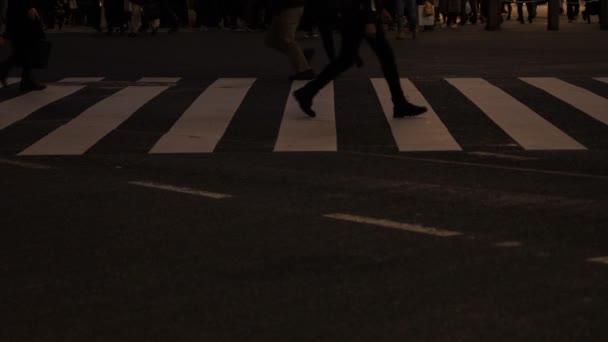 Walking människor kroppsdelar på Shibuya Crossing på natten — Stockvideo