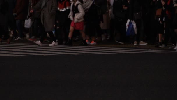 Shibuya geçidinde yürüyen insanların vücut parçaları gece — Stok video