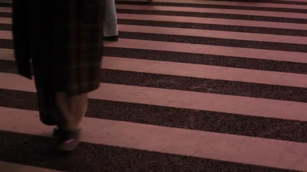夜の渋谷交差点で人体の一部を歩く — ストック動画